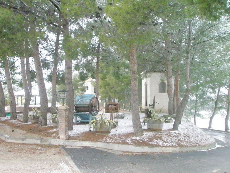 Country house with 7 bedrooms and 3 bathrooms in TIBI | Ref: SCH-5149