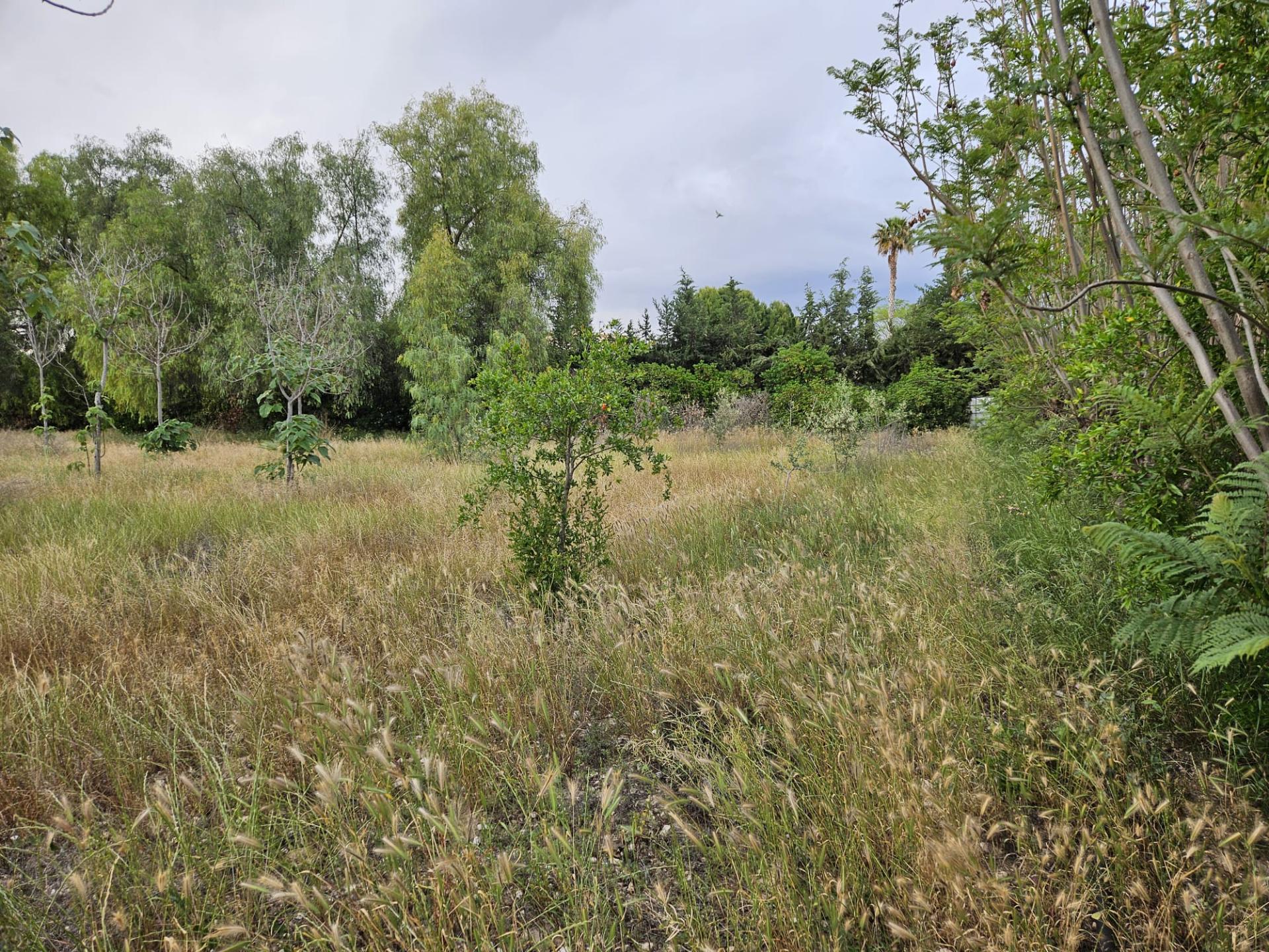 Country house with 3 bedrooms and 2 bathrooms in ASPE | Ref: SCH-5192