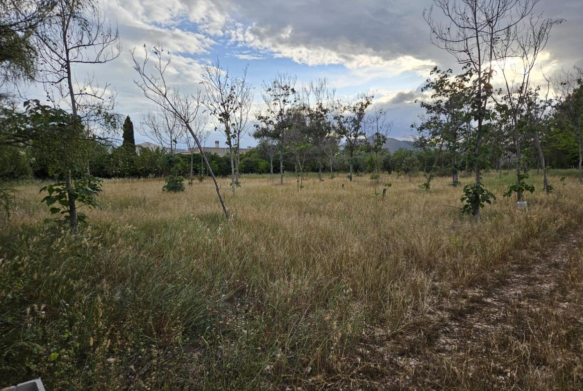 Country house with 3 bedrooms and 2 bathrooms in ASPE | Ref: SCH-5192
