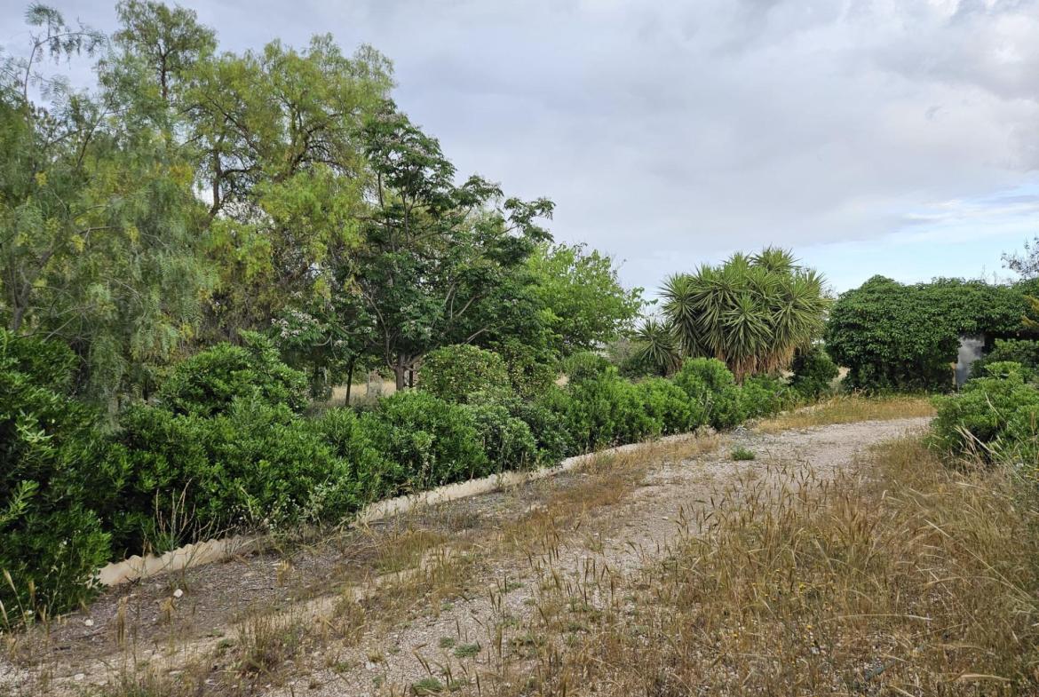 Country house with 3 bedrooms and 2 bathrooms in ASPE | Ref: SCH-5192