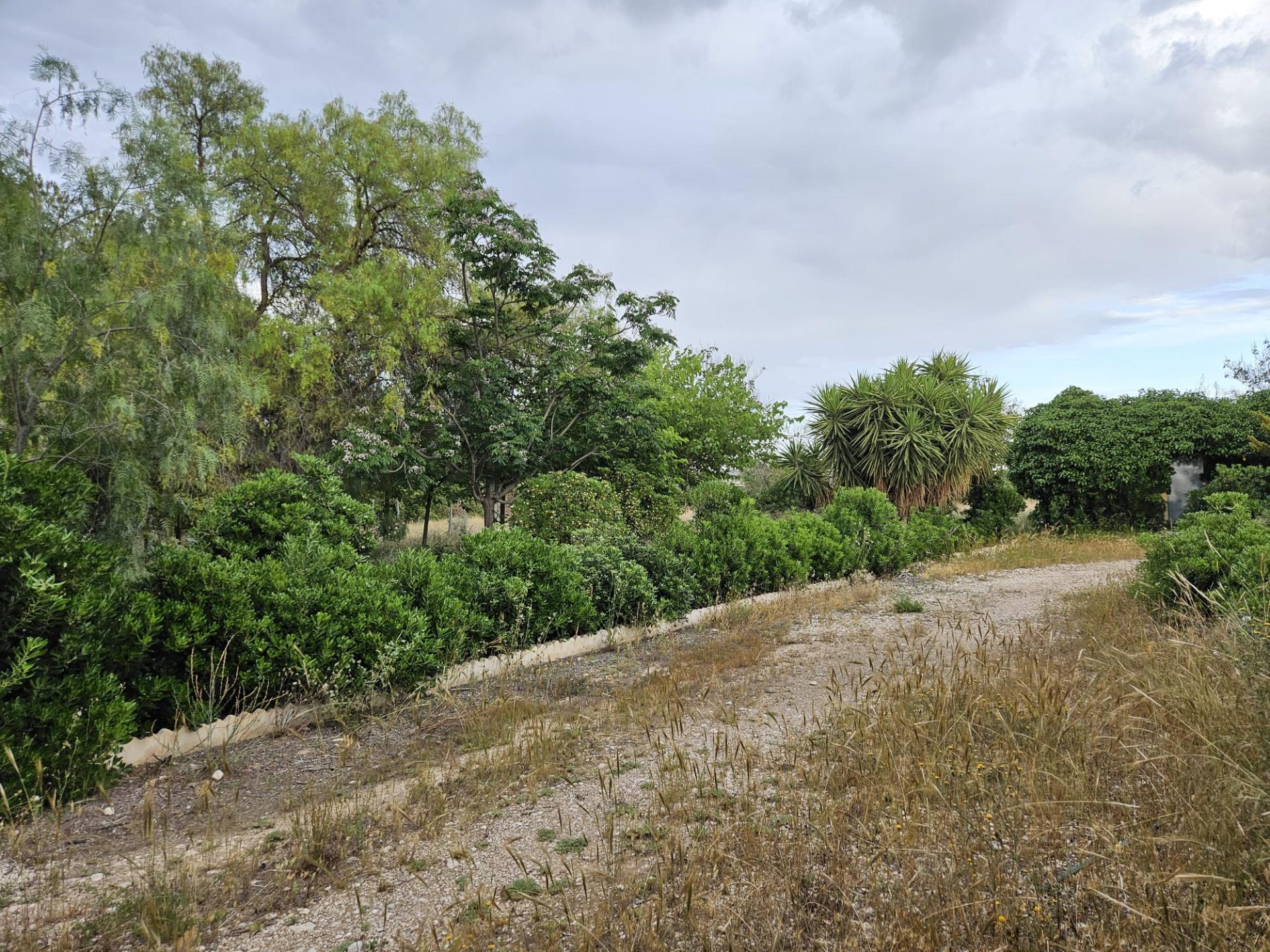 Country house with 3 bedrooms and 2 bathrooms in ASPE | Ref: SCH-5192