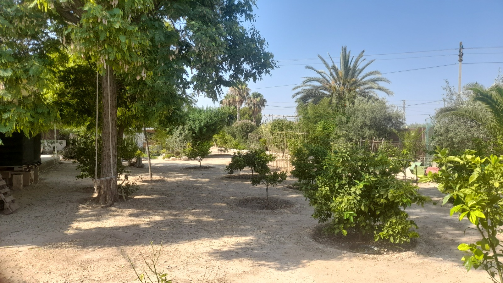 Country house with 3 bedrooms and 2 bathrooms in CREVILLENTE | Ref: SCH-5230