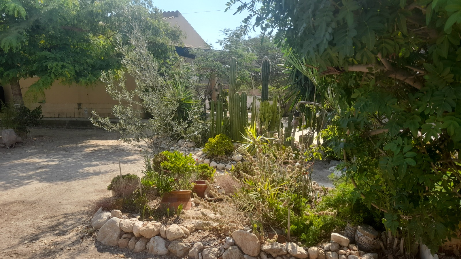 Country house with 3 bedrooms and 2 bathrooms in CREVILLENTE | Ref: SCH-5230