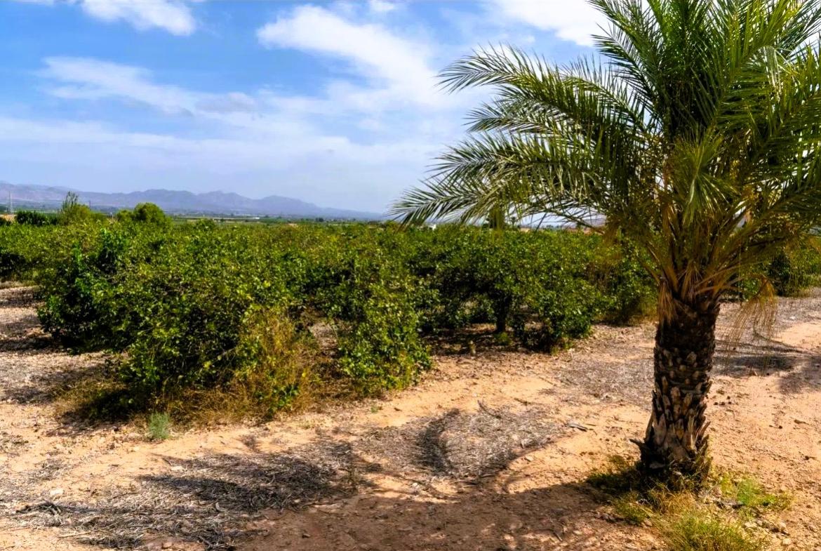 Country house with 4 bedrooms and 2 bathrooms in LA MATANZA | Ref: SCH-5245