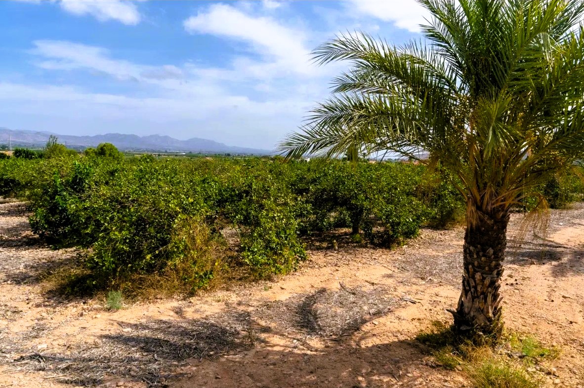 Country house with 4 bedrooms and 2 bathrooms in LA MATANZA | Ref: SCH-5245