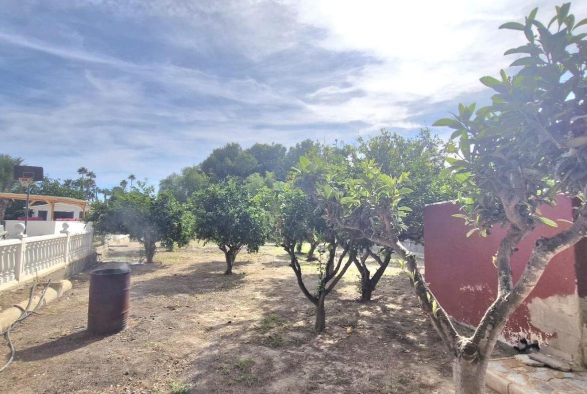 Country house with 4 bedrooms and 3 bathrooms in ELCHE | Ref: SCH-5303