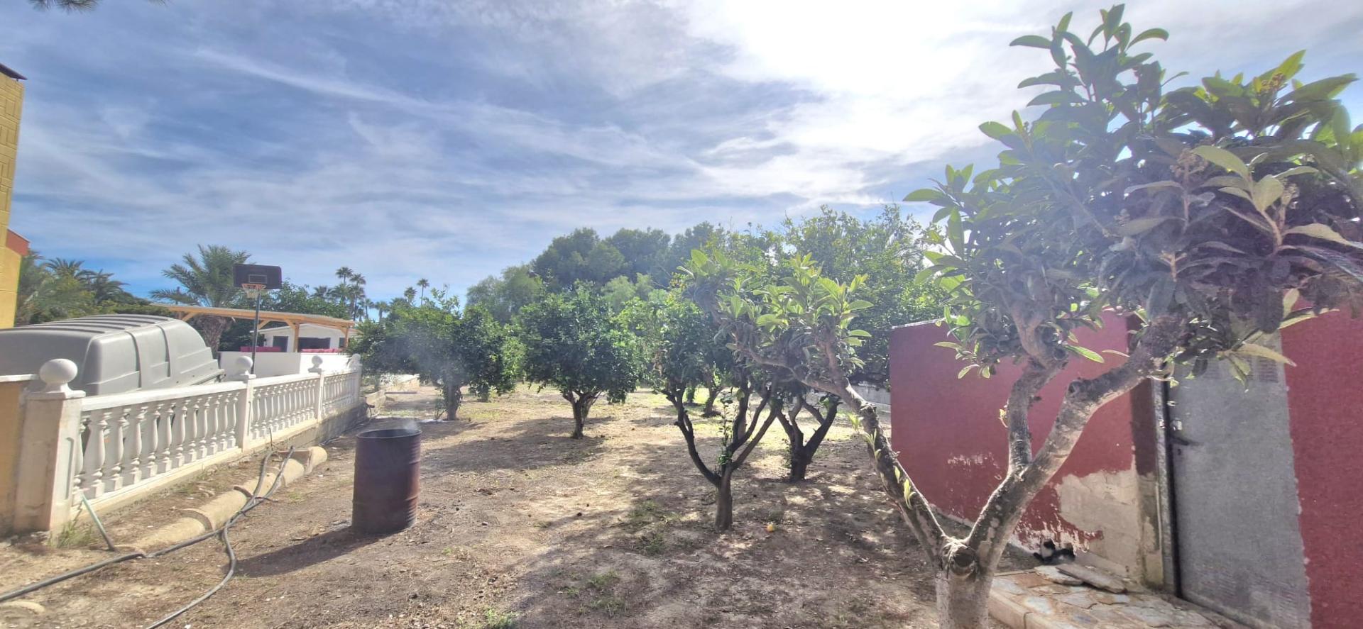 Country house with 4 bedrooms and 3 bathrooms in ELCHE | Ref: SCH-5303