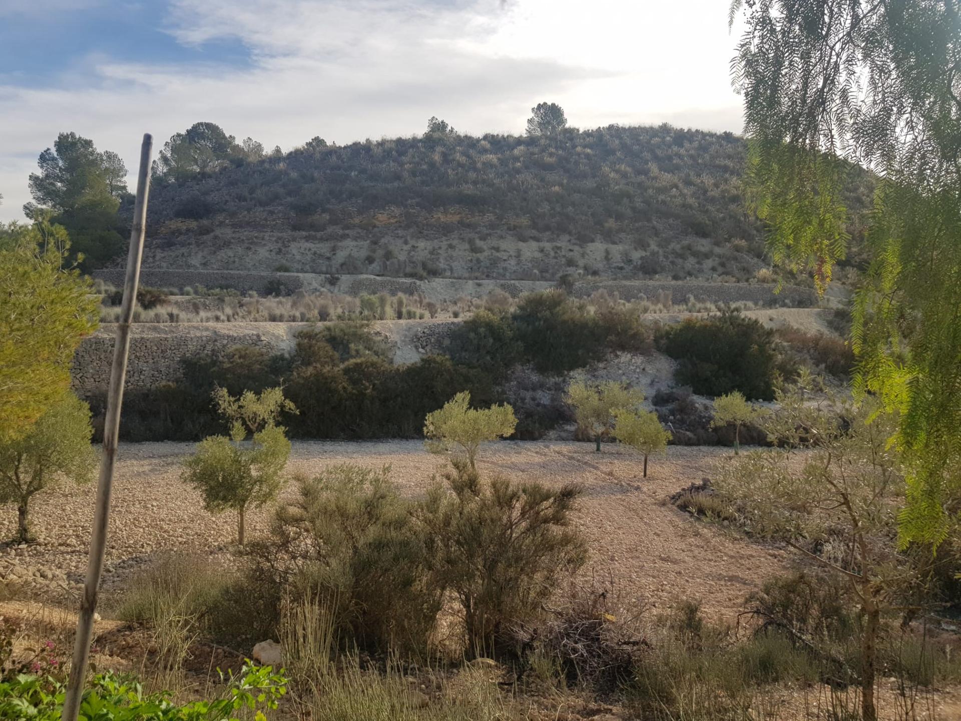 Country house with 3 bedrooms and 2 bathrooms in MONOVAR | Ref: SCH-5311
