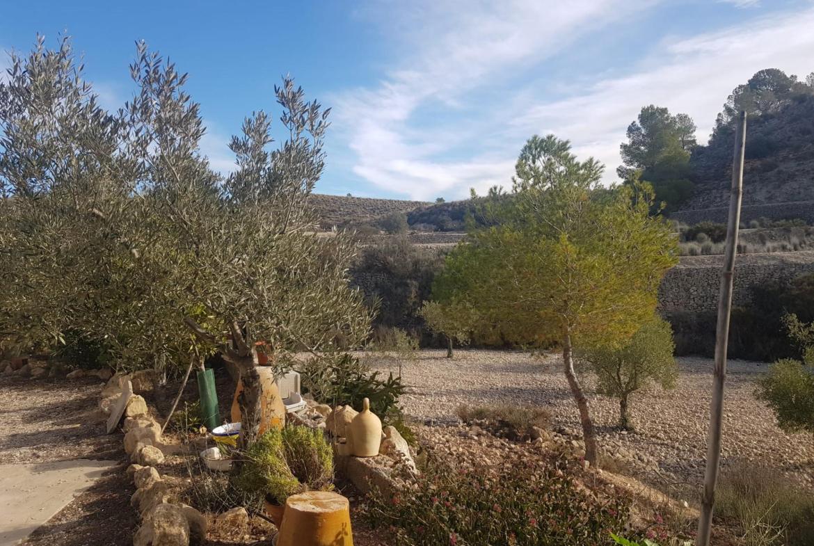 Country house with 3 bedrooms and 2 bathrooms in MONOVAR | Ref: SCH-5311