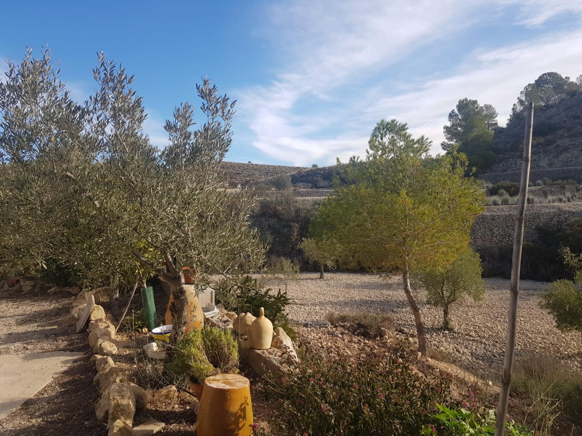 Country house with 3 bedrooms and 2 bathrooms in MONOVAR | Ref: SCH-5311