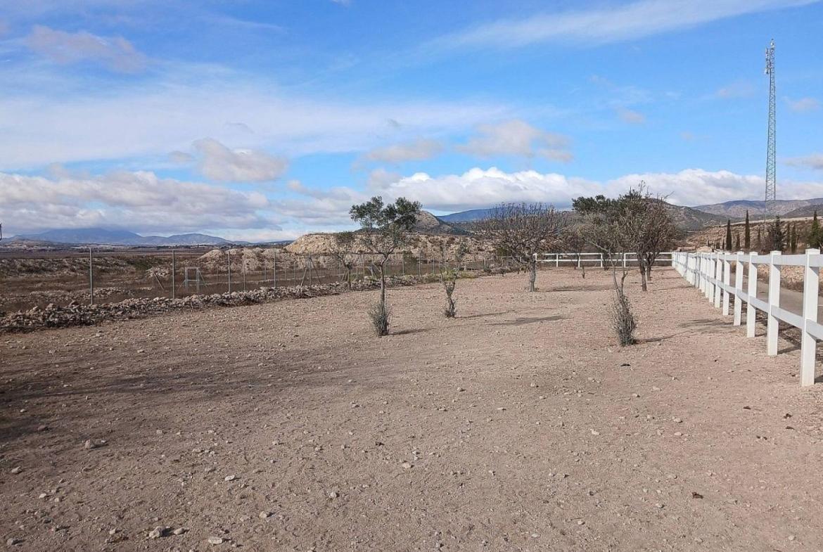 Country house with 2 bedrooms and 1 bathroom in MONOVAR | Ref: SCH-5316