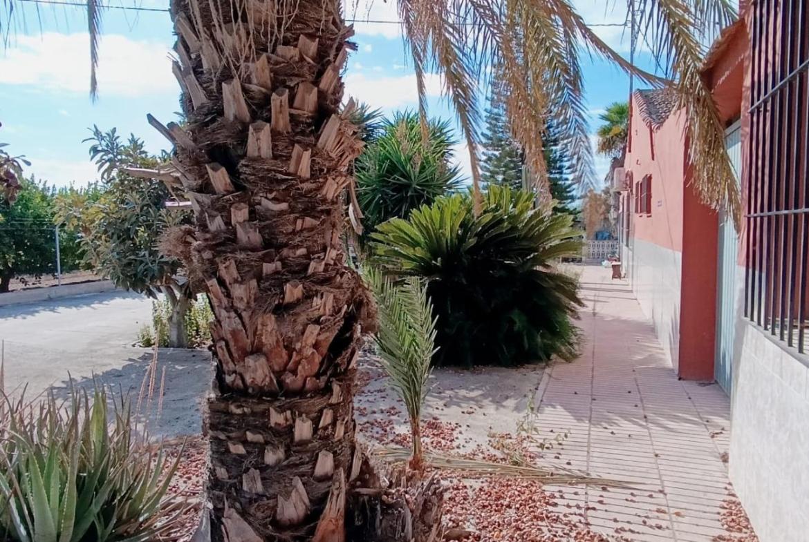 Country house with 5 bedrooms and 3 bathrooms in ELCHE | Ref: SCH-5342