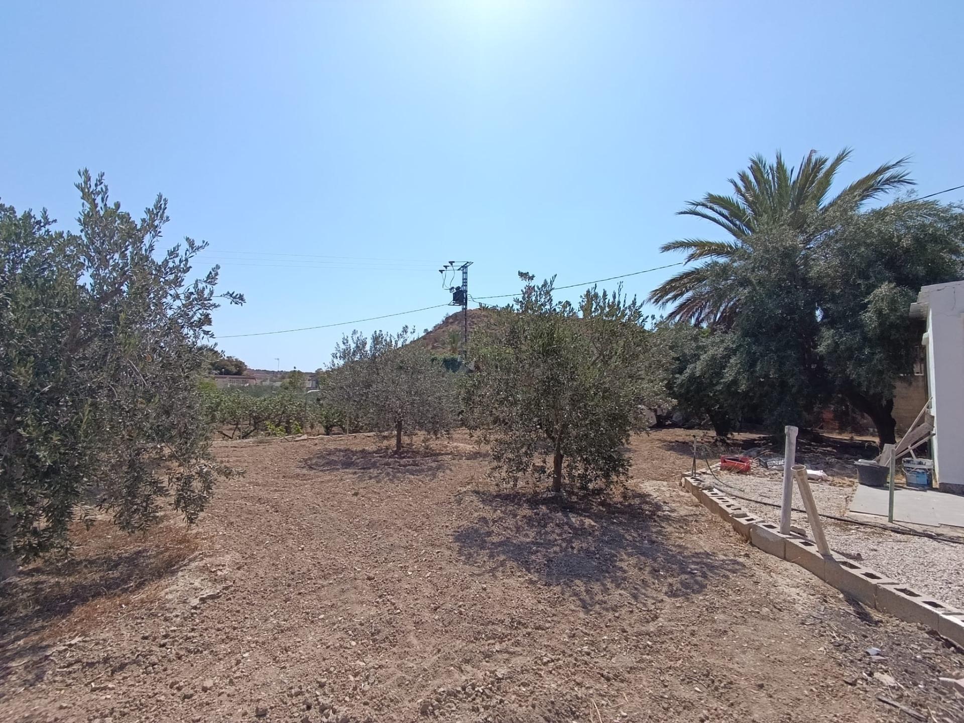 17699766855-6.jpg Country house with 5 bedrooms and 2 bathrooms in ELCHE | Ref: SCH-5343
