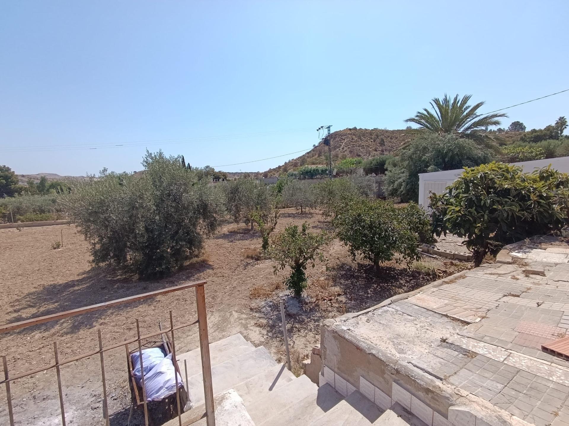 17699766858-9.jpg Country house with 5 bedrooms and 2 bathrooms in ELCHE | Ref: SCH-5343