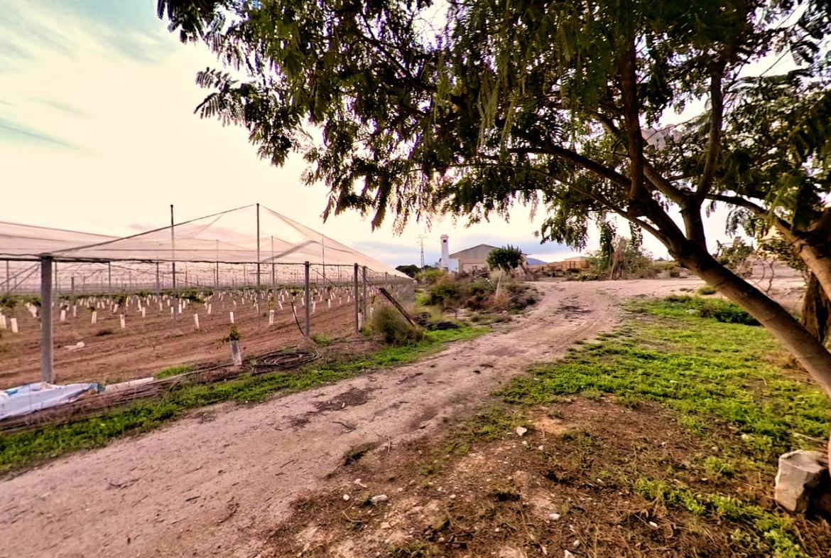 Country house with 3 bedrooms and 2 bathrooms in NOVELDA | Ref: SCH-5344