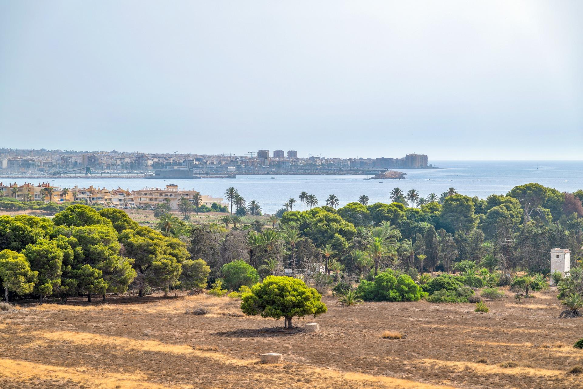 Apartment with 2 bedrooms and 2 bathrooms in Torrevieja | Ref: 2330/6689